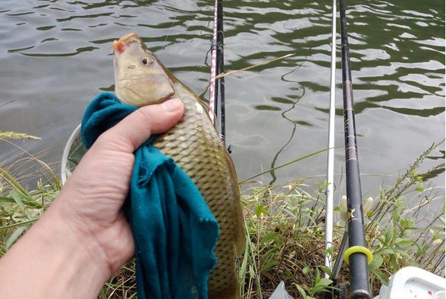 快乐|钓鱼有风险,快乐需谨慎,您作钓时遭遇到过什么危险?
