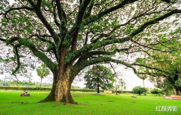 多点|自以为是的爱，究竟有多可怕？