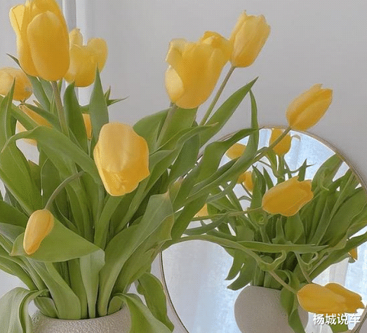 女孩 原来很多男的娶不到老婆是因为这些原因！