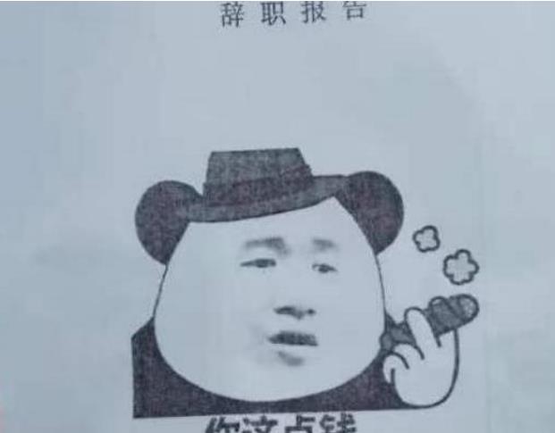 00后|“我在家也是小公主”，00后辞职信如“段子”，老板看完语塞