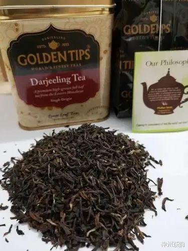 印度成为世界茶叶大国到底凭什么!