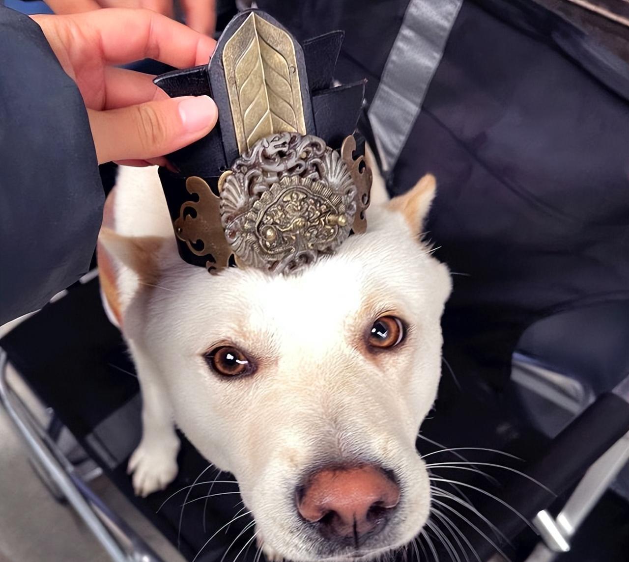 何琳|没辟谣，他俩真的在一起了？