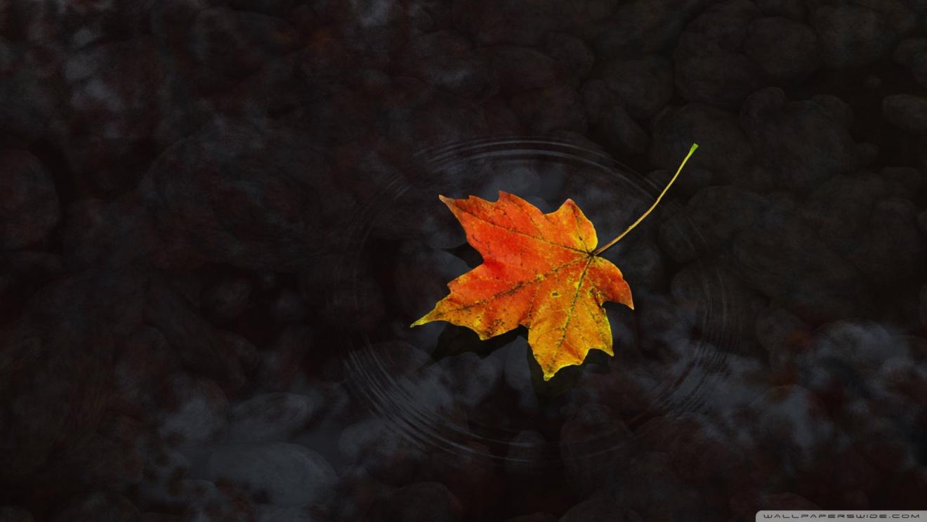 程序员|程序员一句话,穷则思变,你穷就要反思自己穷的原因