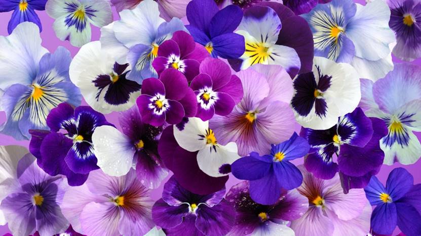 山药|午后困倦是什么原因造成的?