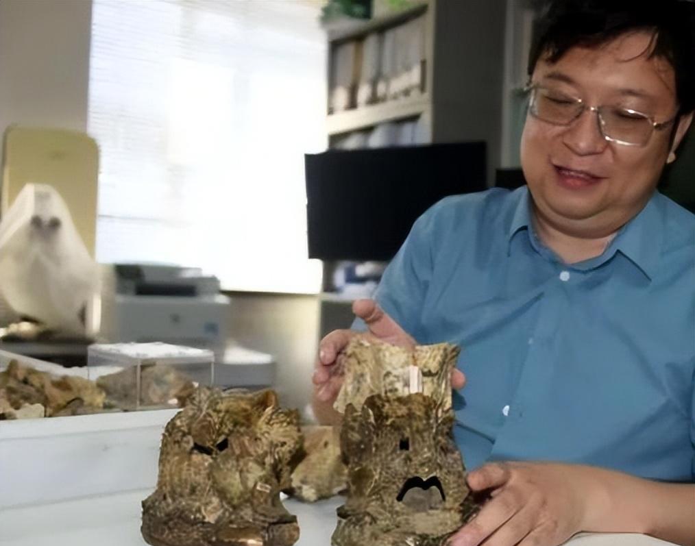 新的化石发现,揭示了长颈鹿为何脖子这么长的谜底,是怎么回事?