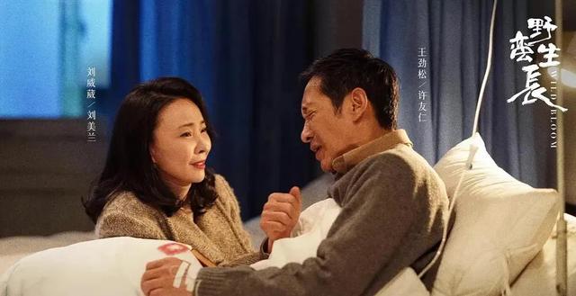 野蛮生长|赵丽颖《风吹半夏》再度爆火，但剧情引发争议，网友提出3大疑点