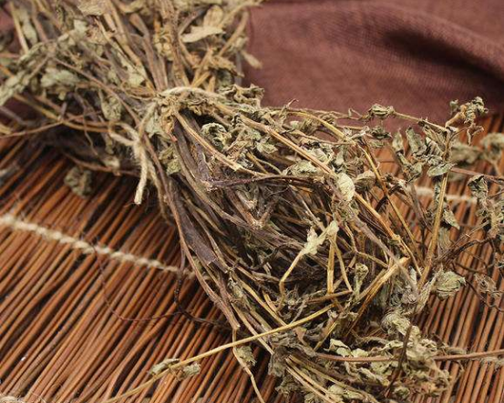 老话说“伏天吃一草,安心舒适度伏天”,指什么草?建议了解一下