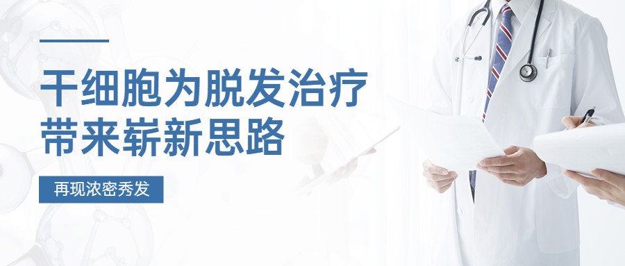 干细胞的发现和临床应用,为脱发带来了崭新的思路
