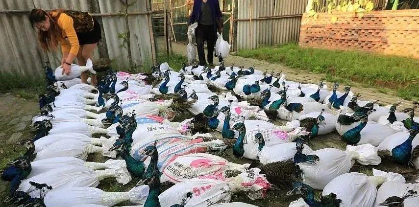 令人大开眼界的25张照片,相当涨姿势