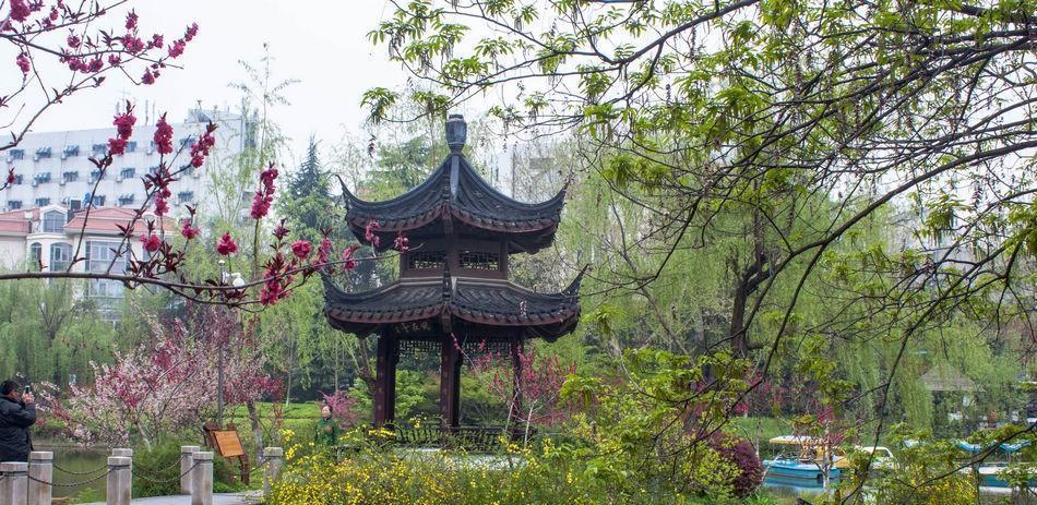 草海|南京被“忽略”的公园，景美人少，连许多当地人都不知道这个地方