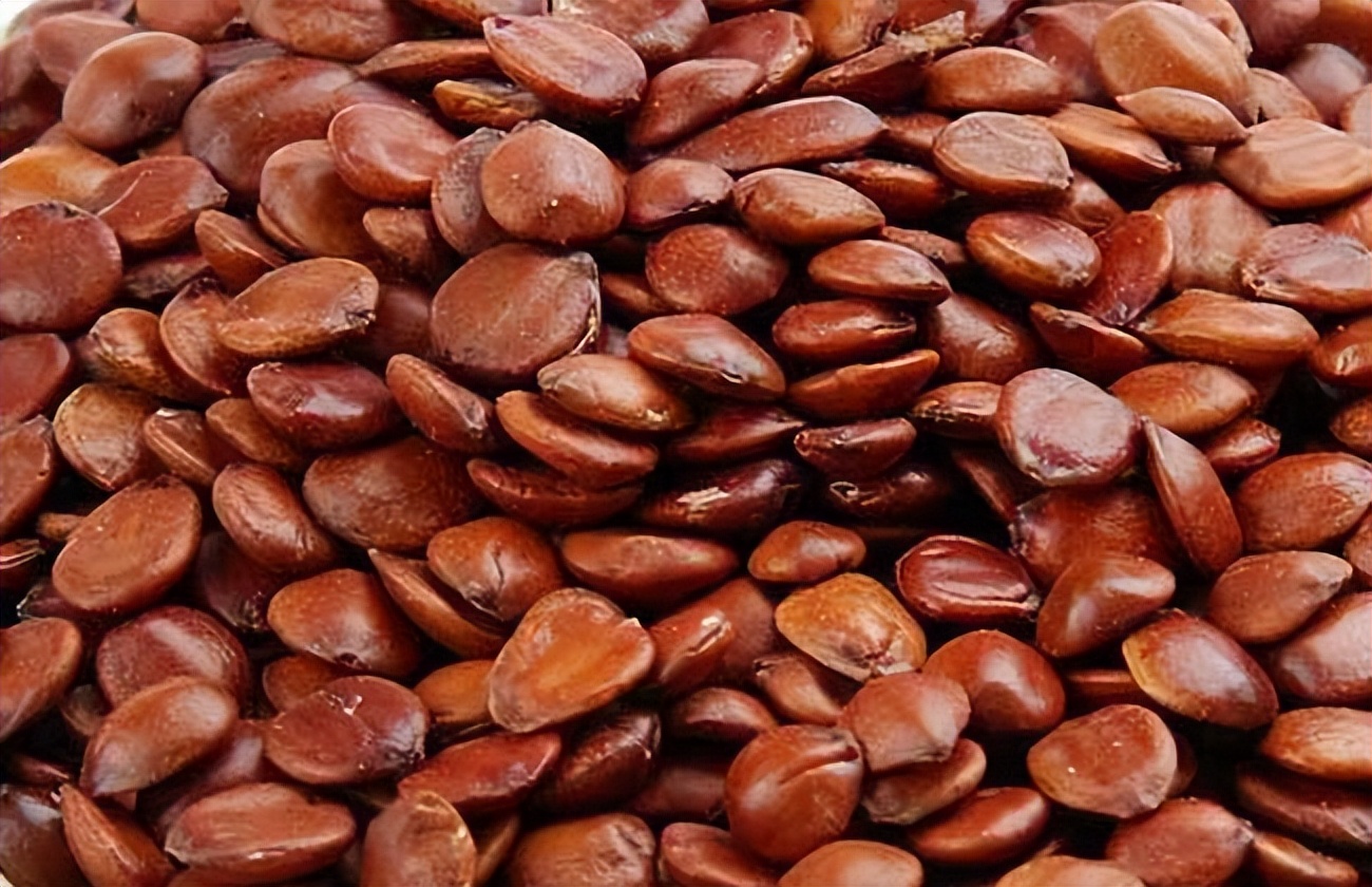 安神|胆小易惊?气不足?送你3味药,益肝利胆、振奋心肾、治心胆气虚