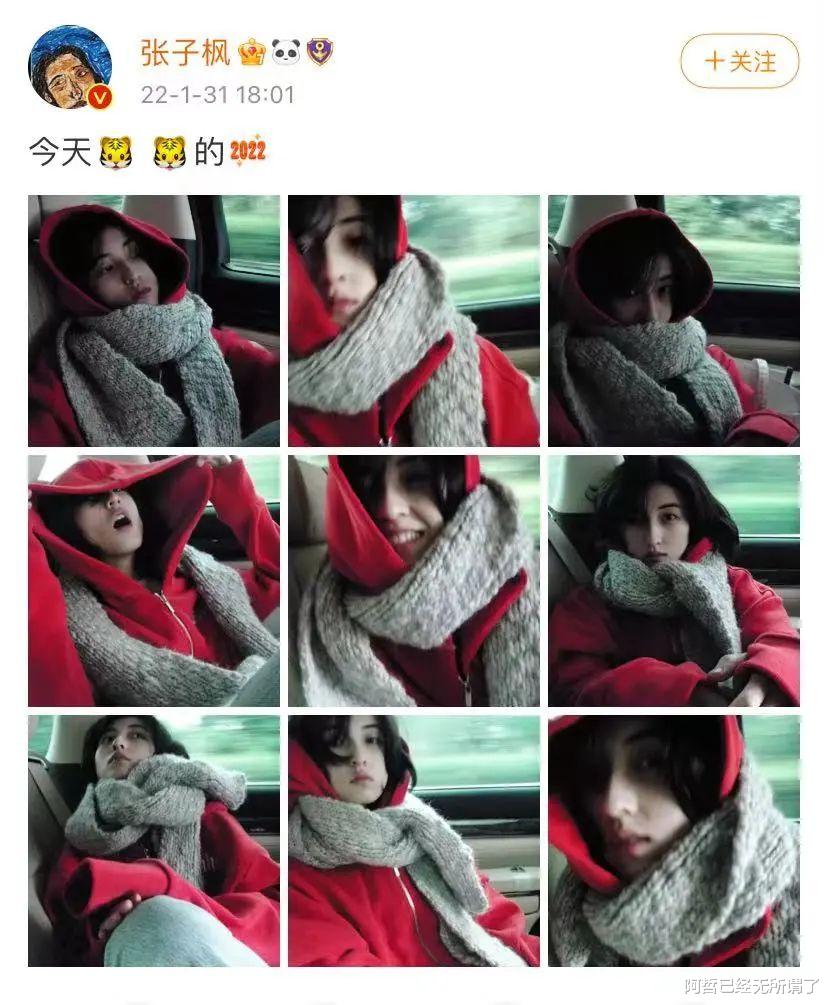 张子枫|张子枫人设又翻车?网友:“国民妹妹”的滤镜碎一地