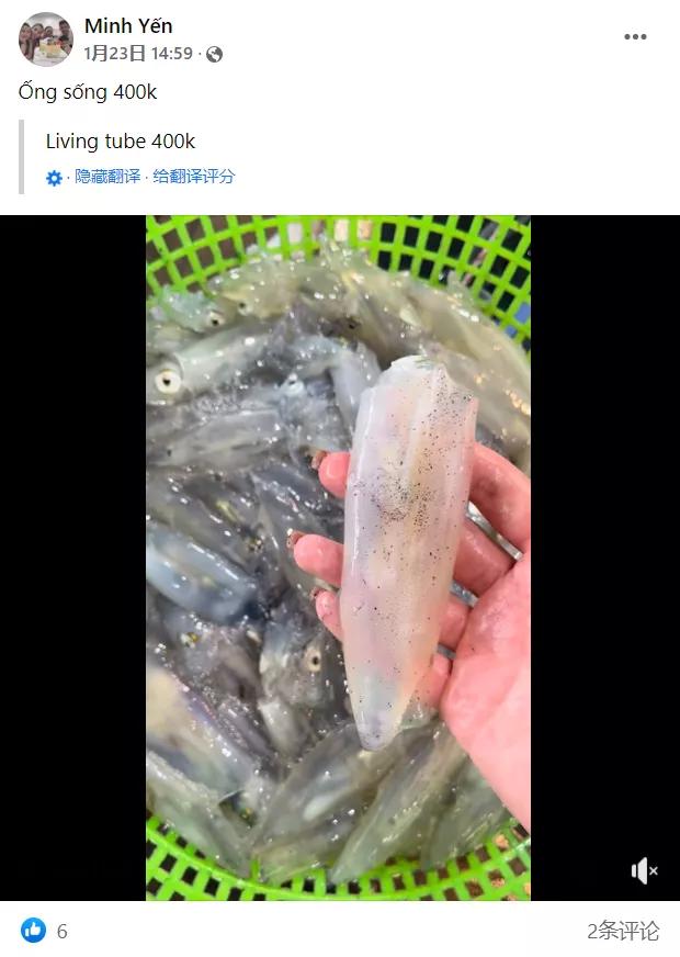 meta|击败国足的越南足球队队长，在农贸市场卖虾谋生？