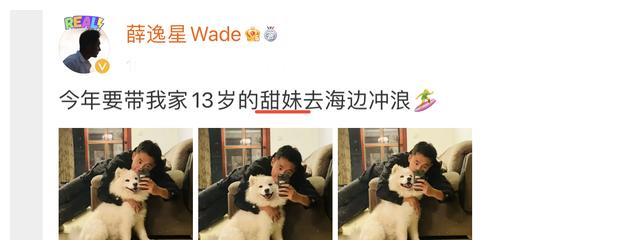 心动3|《心动3》嘉宾近况,琴心养胎,阿星和“甜妹”冲浪,彭措又帅了