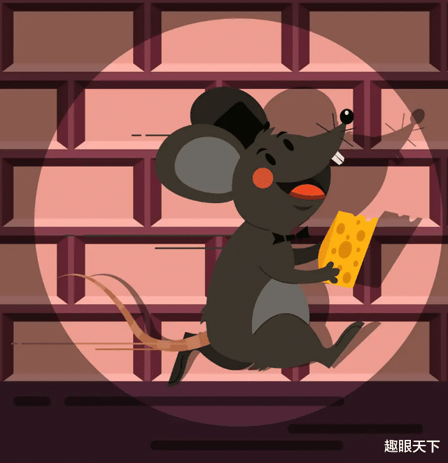 越来越难看见老鼠?科学家发现老鼠在进化,智商越来越高,“超级鼠人”或会在未来出现