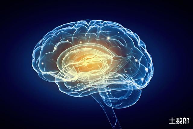人死还能复活?美国科学家将已死器官,重新“激活”了数小时