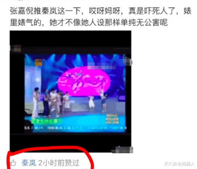 秦岚|推秦岚、打马思纯、偷拍女孩内裤，这些明星的素质，实在令人反感