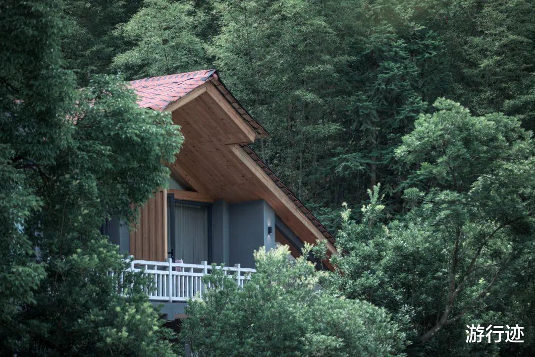 新安江|盛夏避暑来这里!媲美瑞士童话风的树屋秘境!