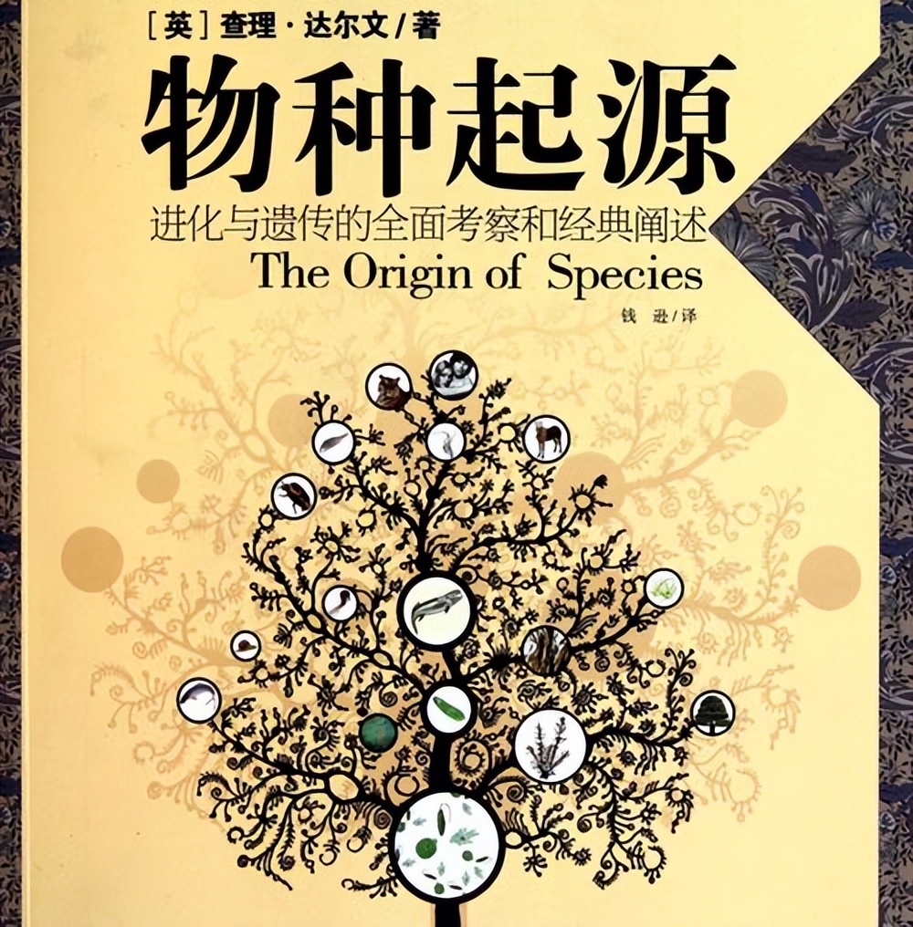 生物都是自私的?进化论在当今社会并不是万能的