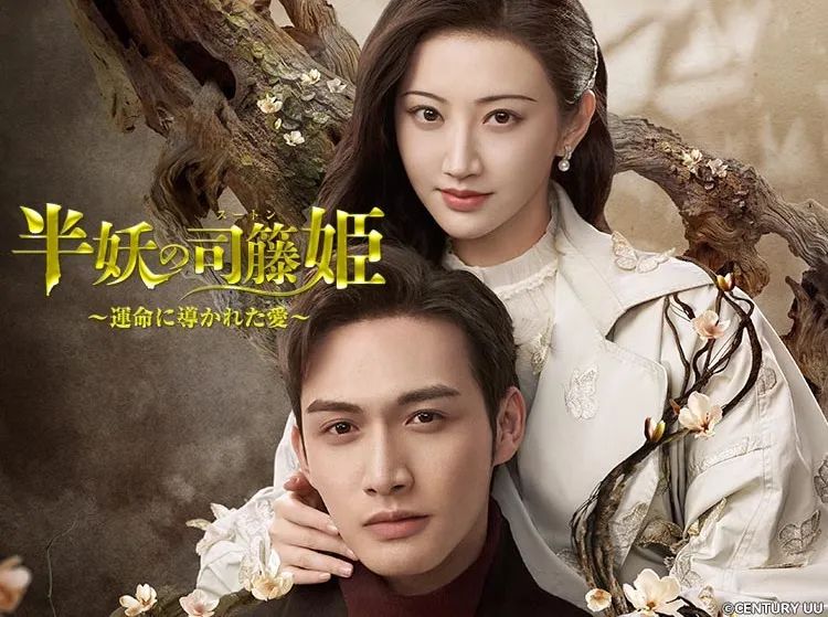 庆余年|《庆余年》等一大批国产好剧在日本播出！日语剧名却变得中二搞笑了！