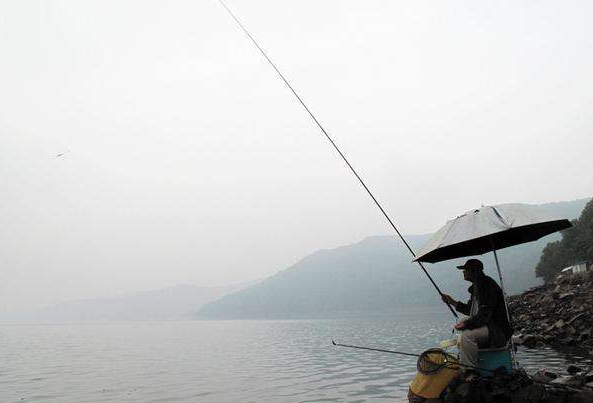 饵料|春季如何钓鲫鱼？从鲫鱼习惯出发，掌握好3点，爆护不再难