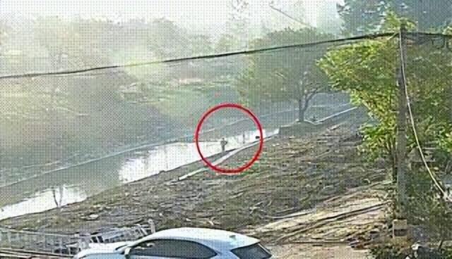 ?湘湖边干这事,杭州父子3人被抓!