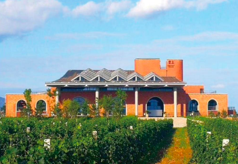 萨拉|辉煌?唯乐小镇,或许下次去那里就有我另一个家了