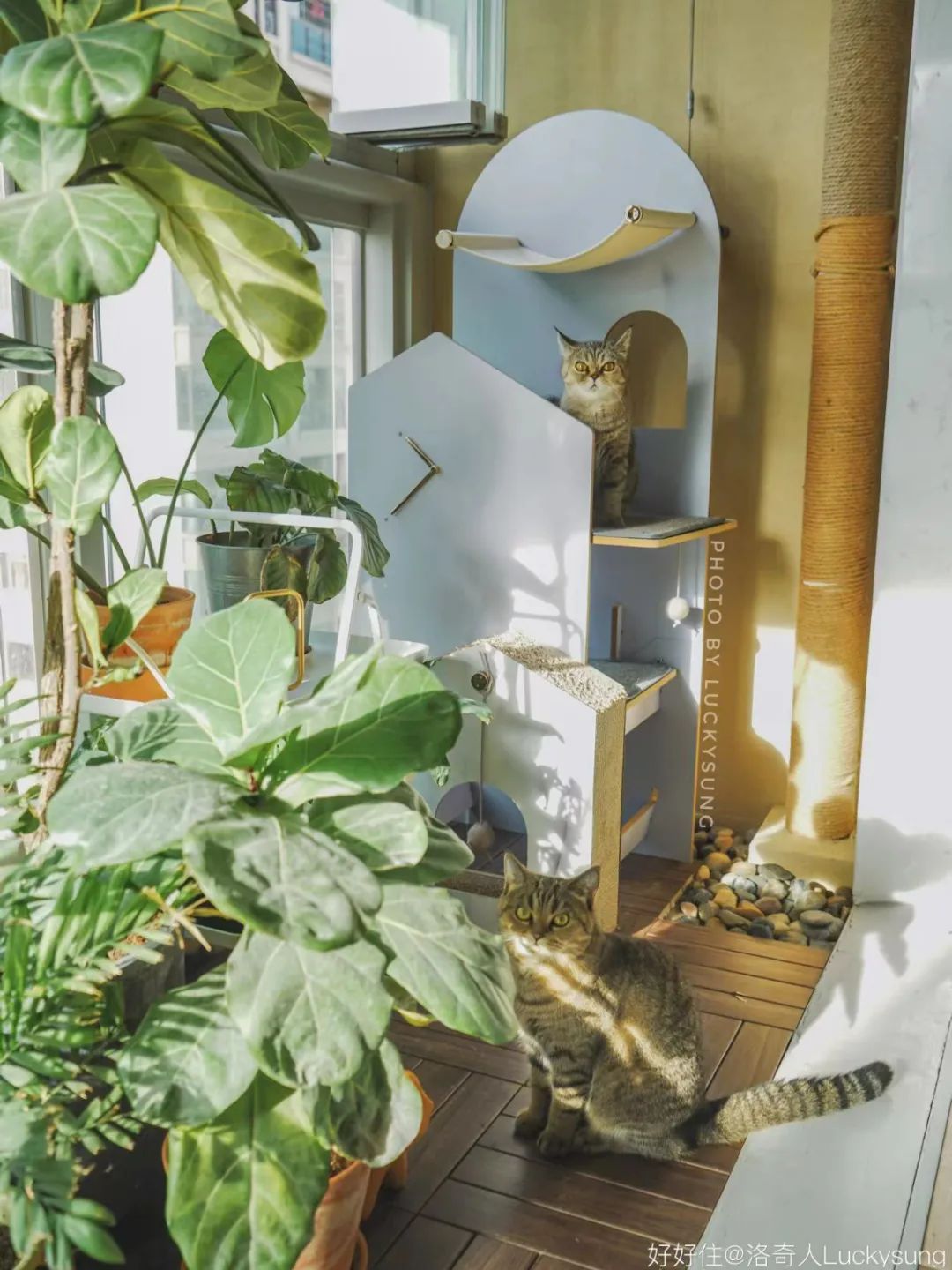 2㎡小阳台原来能这么迷人？（附好物）