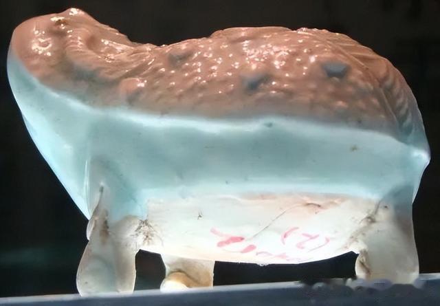 蜘蛛|贾宝国一真一假说瓷器(X130-仿湖田窑蟾盂)