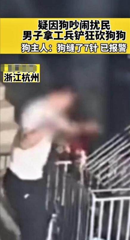 男子疑因狗叫声吵闹,拿工兵铲狂铲狗狗十多下