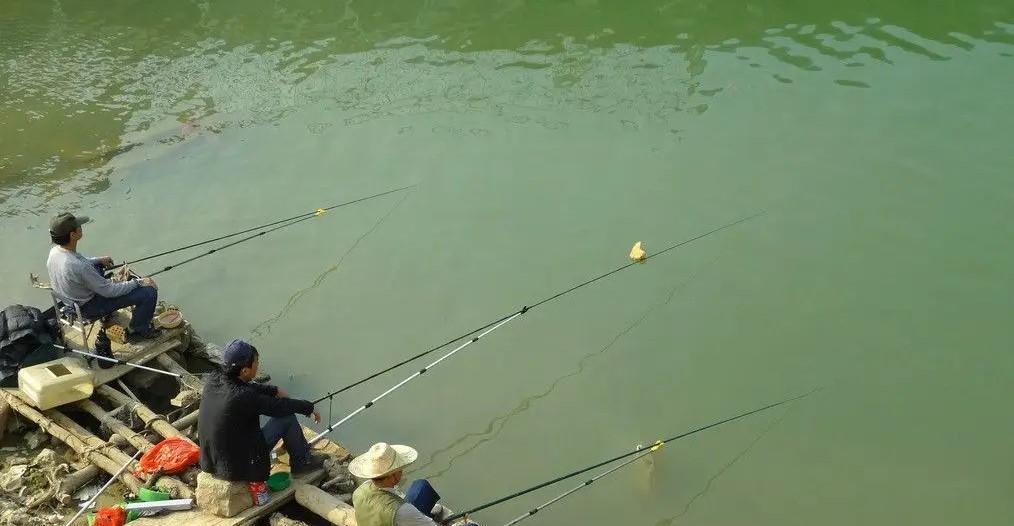 智商税|忽悠钓鱼人的5种渔具,妥妥地掏腰包买“智商税”