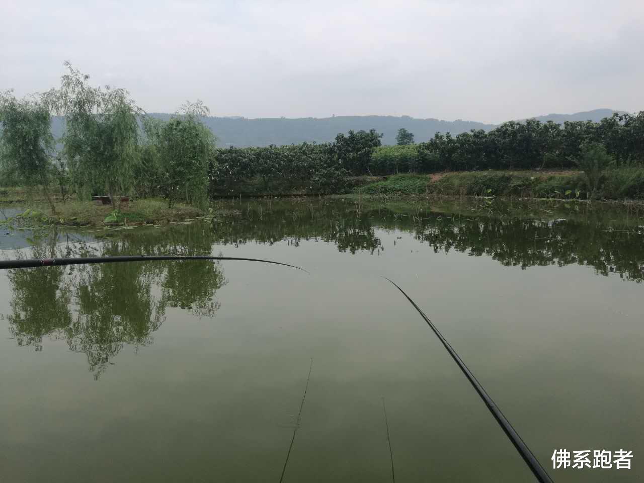 上海中医药大学|对于晚年生活,有什么好的建议吗?