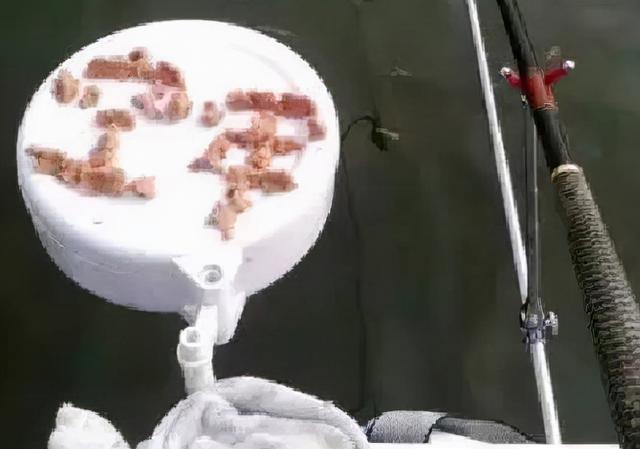 佛系|既诩佛系告天下，何以荒诞毁芳华？盘点钓不住鱼的几个奇葩理由