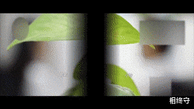 整容|“起初称招网红模特，后来又让我去商务会所工作”黔宸集团诈骗案