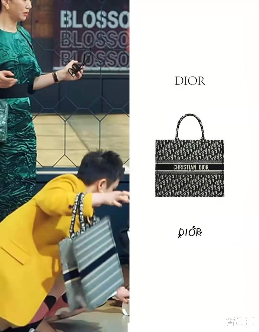盛装|《盛装》中女强人都背什么包包