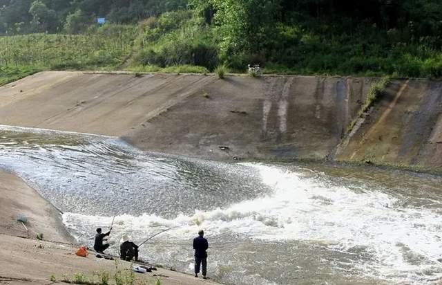 黄骨鱼|野钓流水（江河）攻略分享，激流都可钓