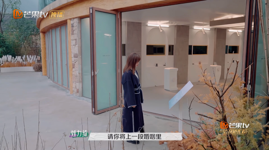 吴雅婷|他们离婚的真相终于曝光了