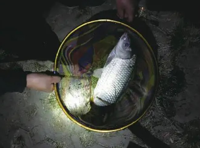 水库|“死鱼正口”真有这么邪门么？有老哥不信邪，最后他把钓鱼“戒”了