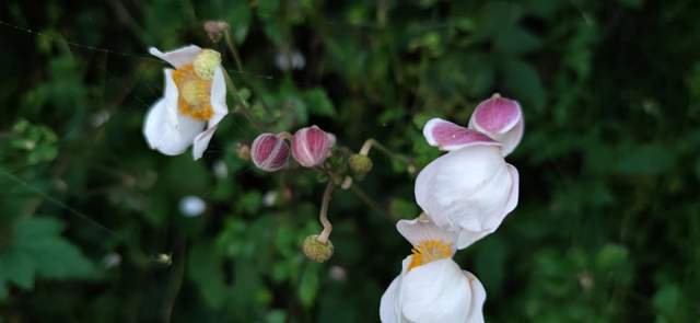 昭通|重走来时的路！云南昭通乐居镇周家口子村散步记