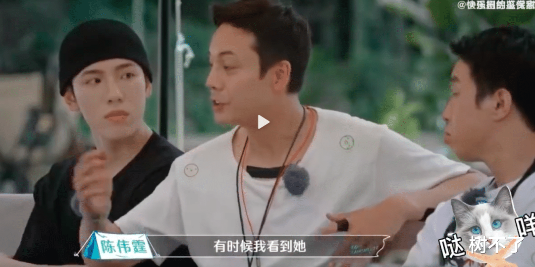 陈伟霆|怀孕了？还想逼婚陈伟霆？