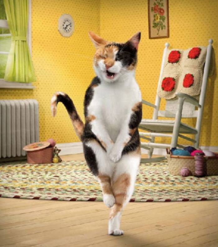 每日一笑:闺蜜说:要想抓住一个男人的心,就要抓住男人的胃