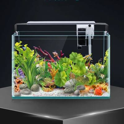 |养鱼十大坑+养鱼口诀(有才,把养鱼心得写成了顺口溜)