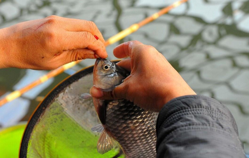 |不同阶段的钓鱼人,一年钓鱼的花销对比