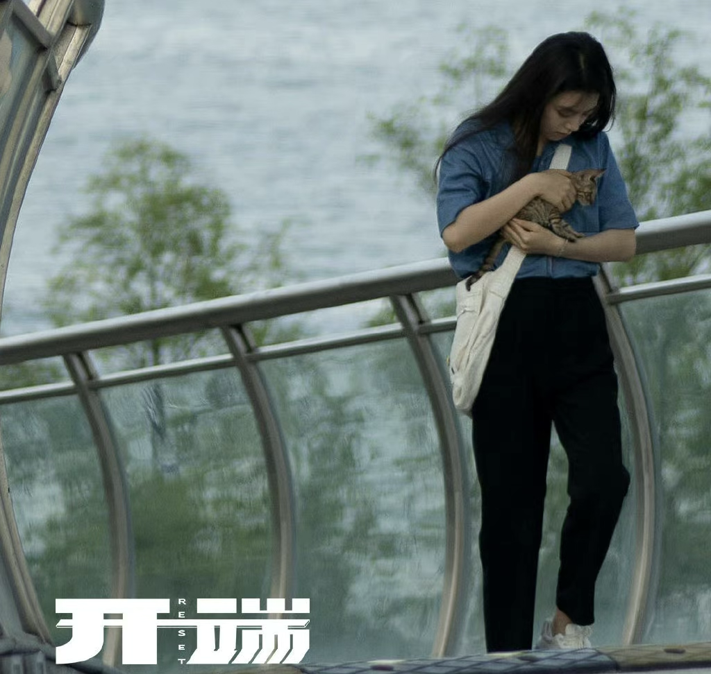 赵今麦|赵今麦开端吸猫剧照