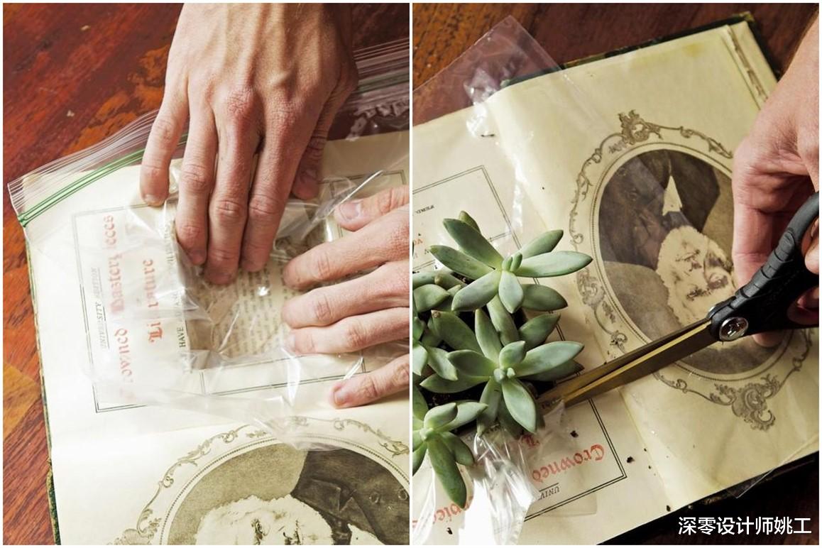 小户型造景必备的11个好东西,点缀日常好心情,让生活变得更美丽