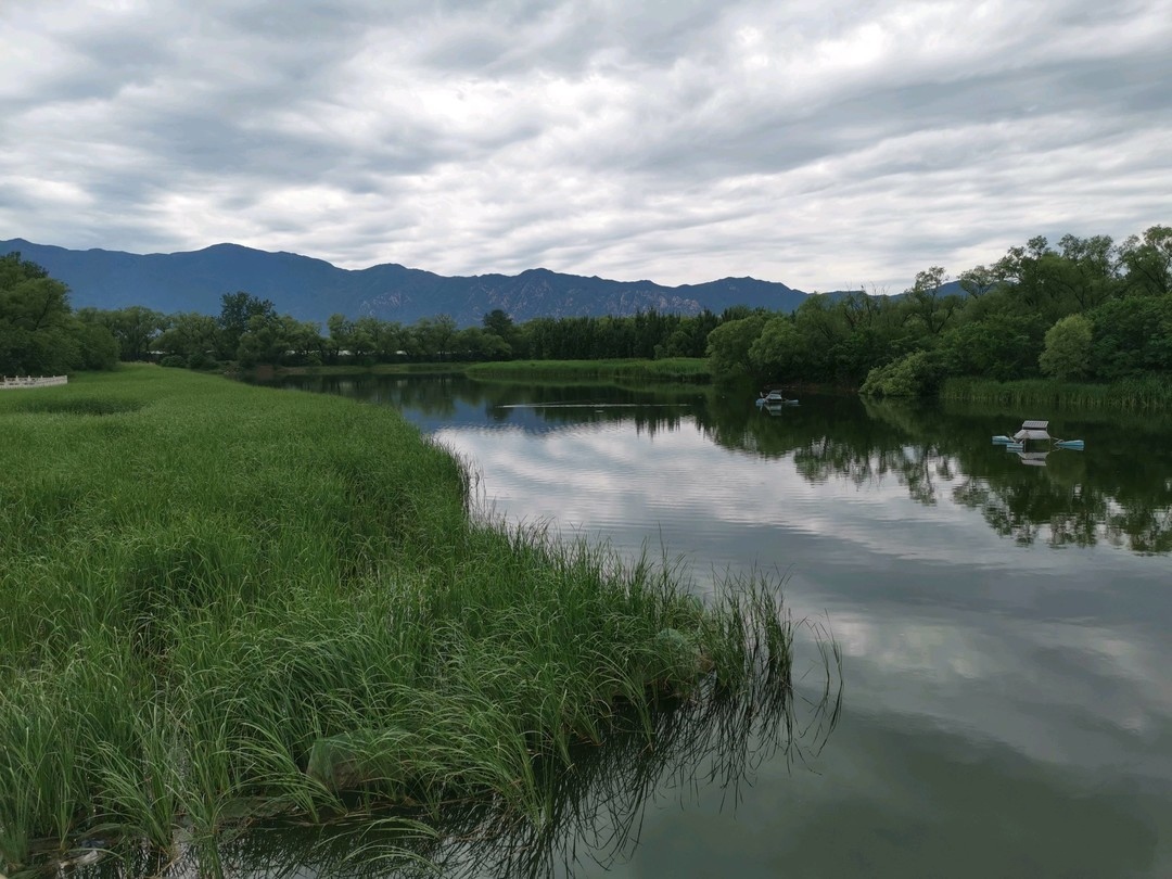 旗山|玩水捞鱼公园大推荐之二，翠湖国家城市湿地公园