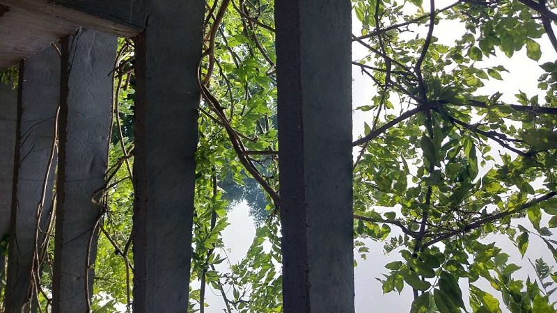 春节档|春节档票房大爆发  影院股见光死