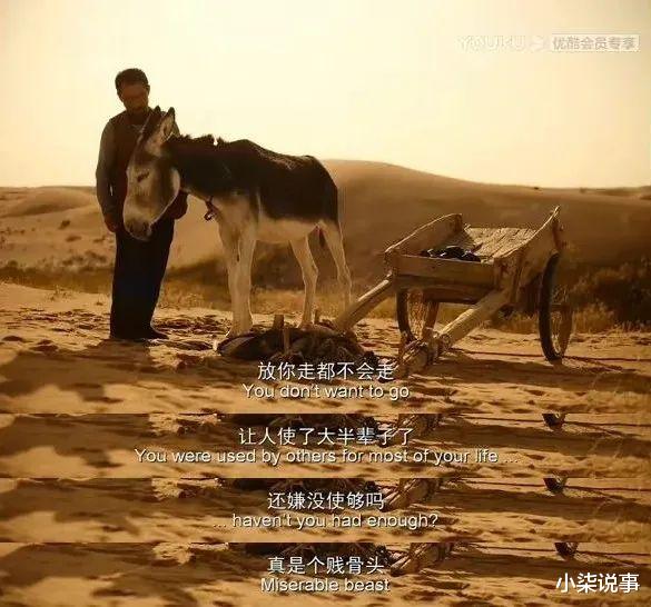 电影|海清“毁容”，亿万网友却爆哭：《隐入尘烟》的这3个真相，你一定要看透