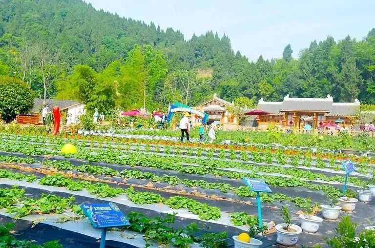 乡村旅游|点赞！海龙村正式被确定为全国乡村旅游重点村