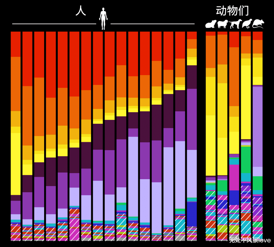 博士用自己的血一天喂3000只蚊子,终一作发Nature揭示“蚊子怎么只咬你”